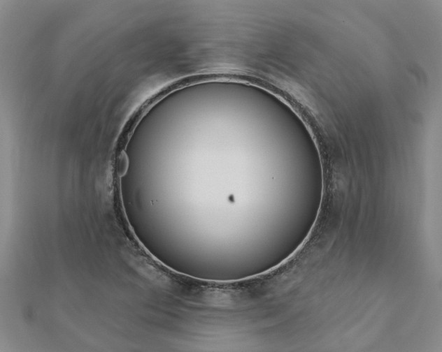 X0000113001364200909031244