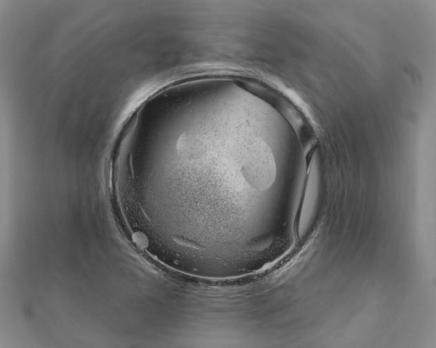 X0000113001365200909031244