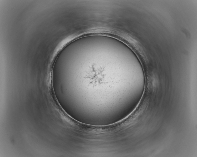 X0000113001366200909031244