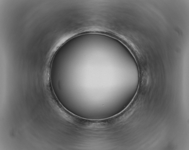 X0000113001367200909031244