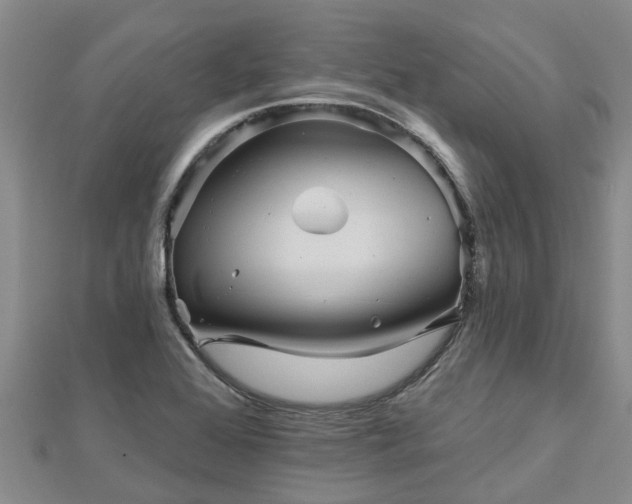 X0000113001368200909031244