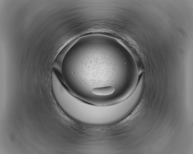 X0000113001369200909031244