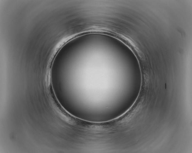 X0000113001371200909031244