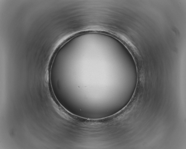 X0000113001372200909031244