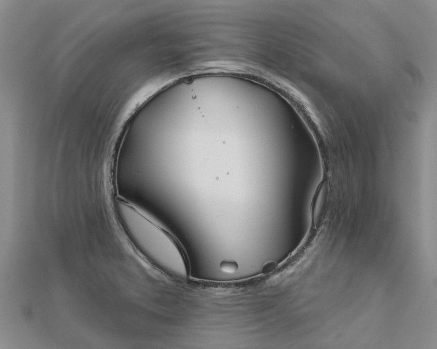 X0000113001373200909031244