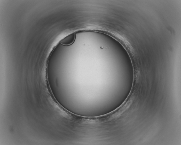 X0000113001374200909031244