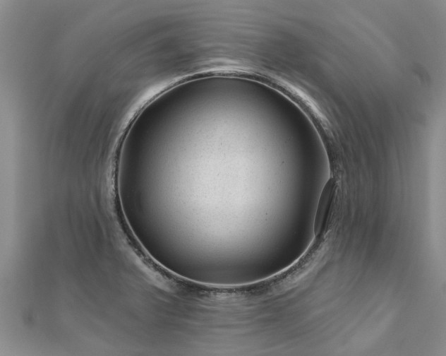 X0000113001375200909031244