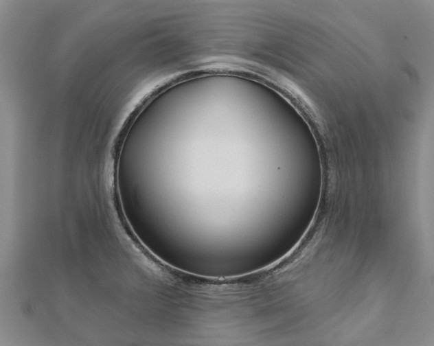 X0000113001376200909031244