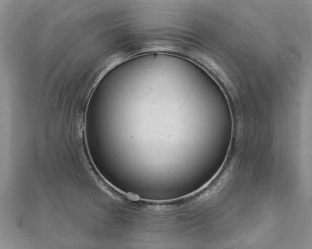 X0000113001377200909031244