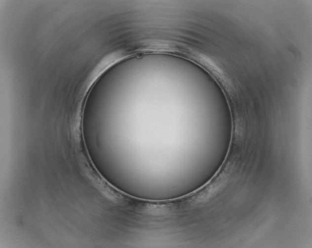 X0000113001378200909031244