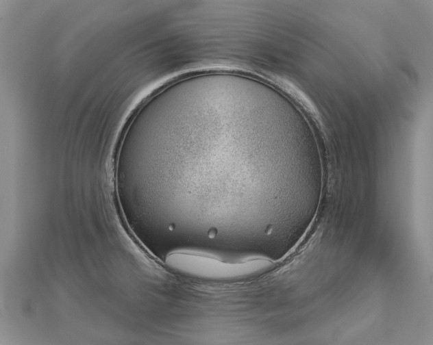 X0000113001380200909031244