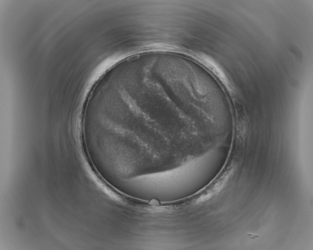 X0000113001381200909031244