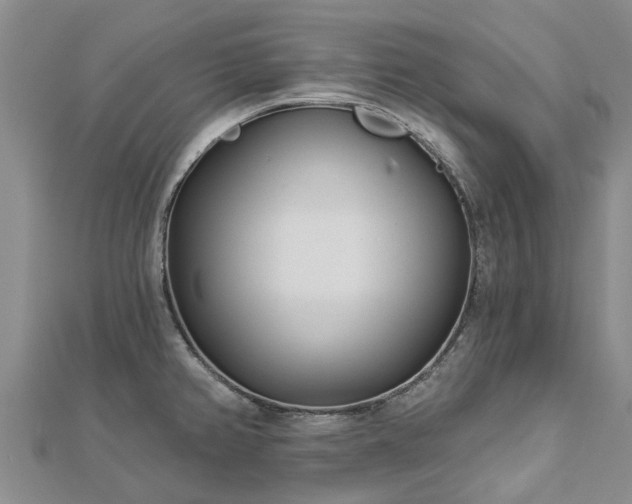 X0000113001382200909031244