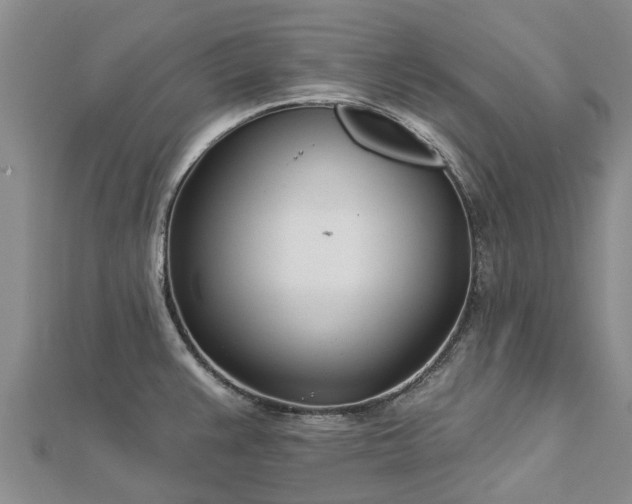 X0000113001383200909031244