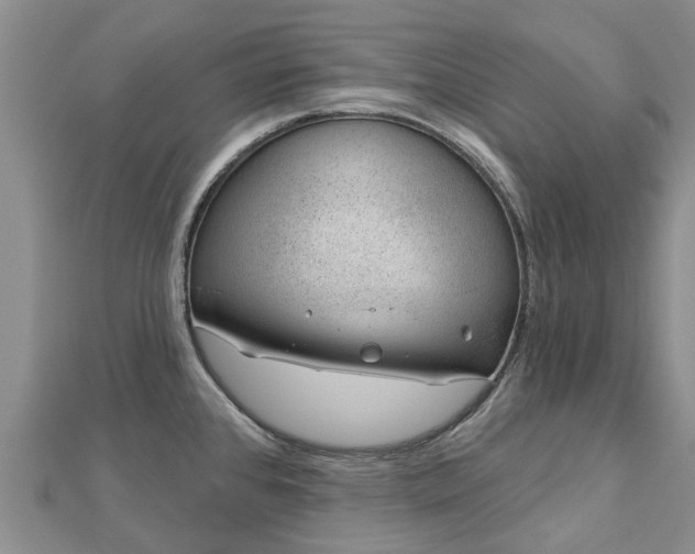 X0000113001384200909031244