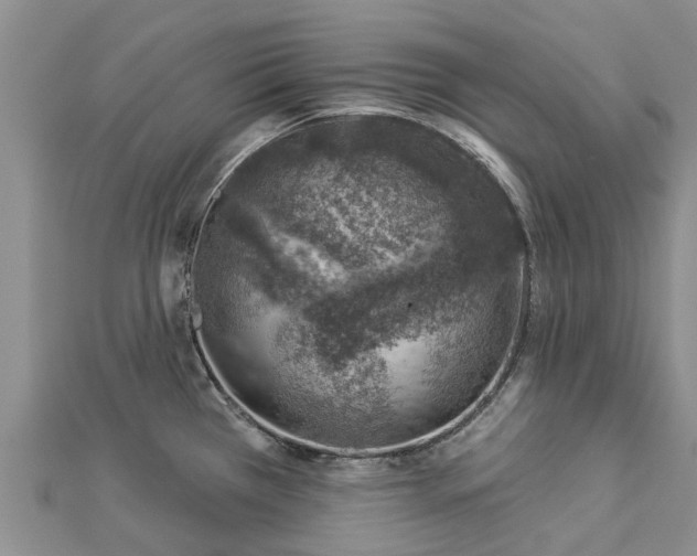 X0000113001385200909031244