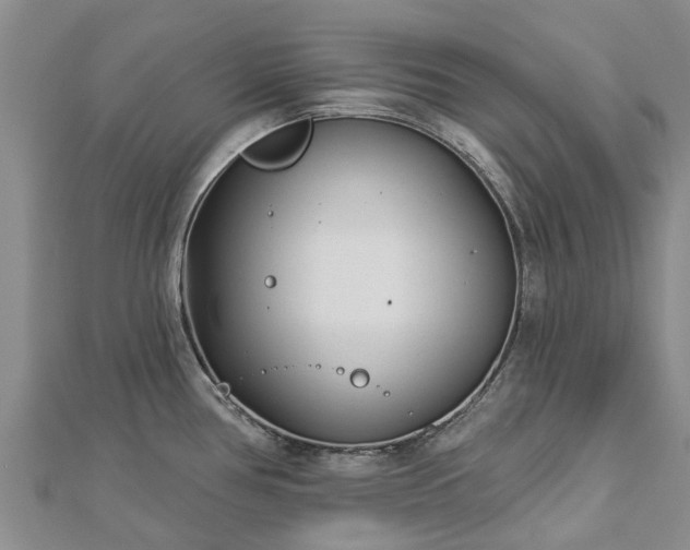 X0000113001386200909031244