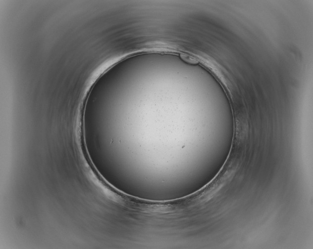 X0000113001387200909031244