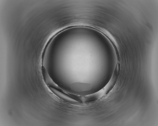 X0000113001388200909031244