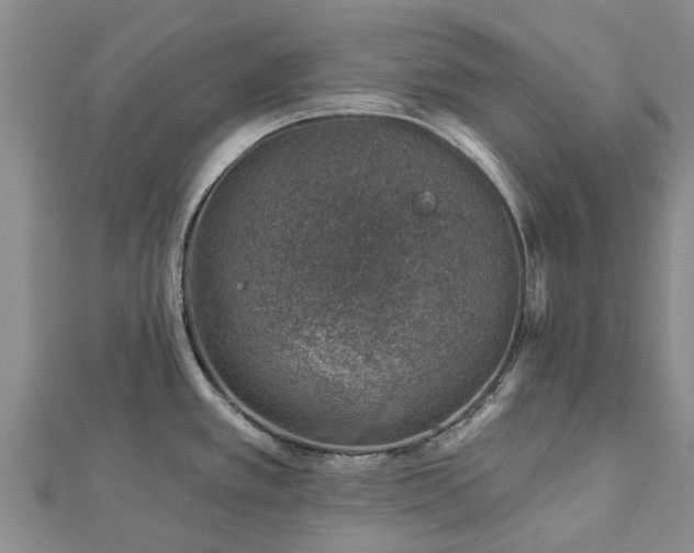 X0000113001389200909031244