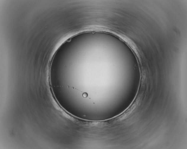 X0000113001390200909031244