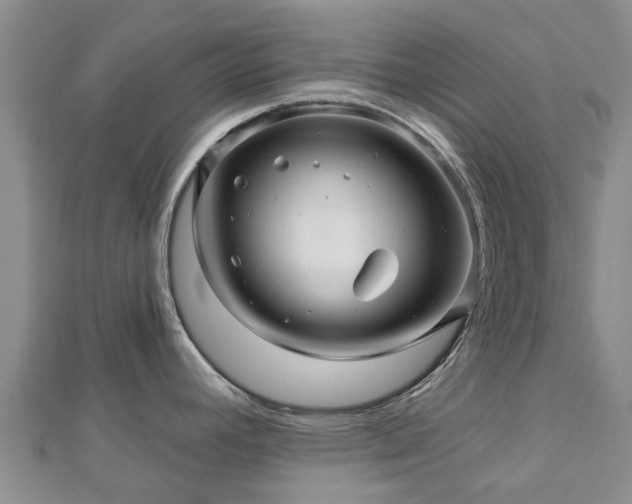 X0000113001392200909031244