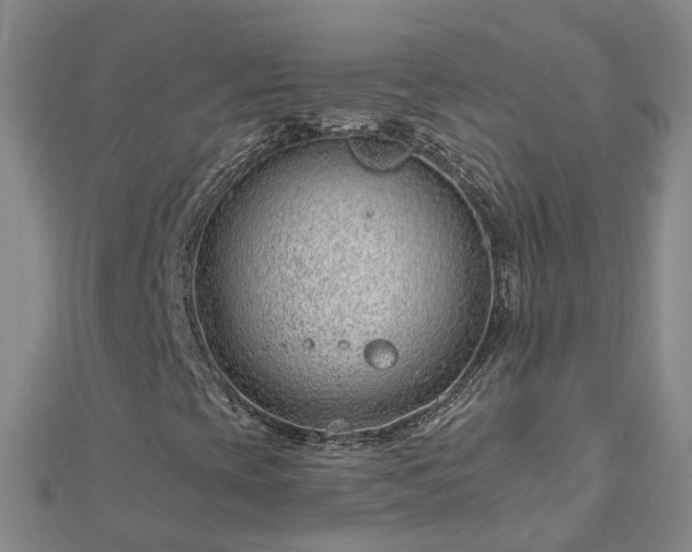 X0000113001393200909031243