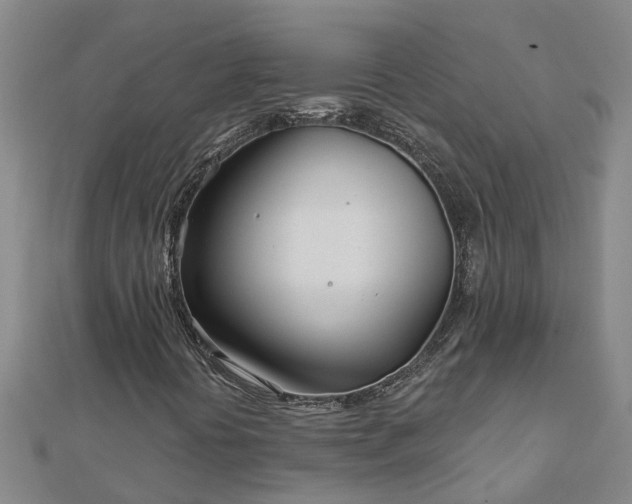 X0000113001394200909031243