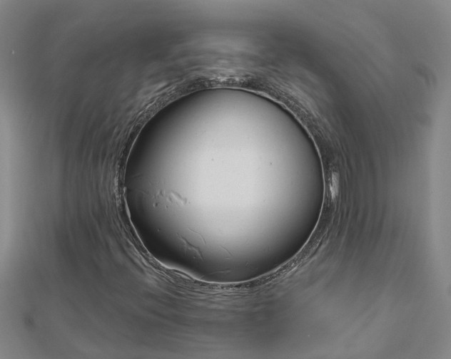 X0000113001396200909031243