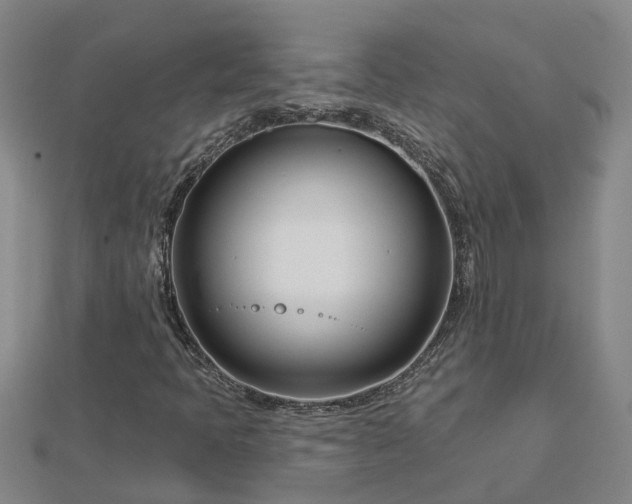 X0000113001397200909031243