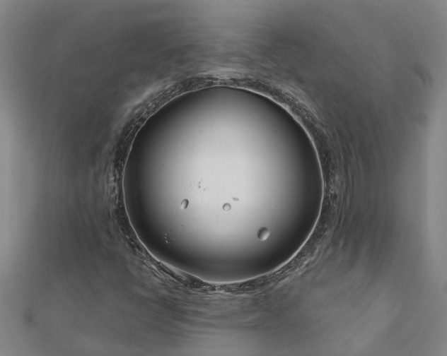 X0000113001398200909031243