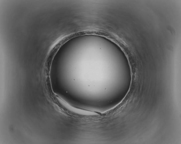 X0000113001400200909031243