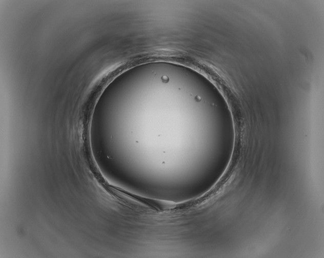 X0000113001402200909031243