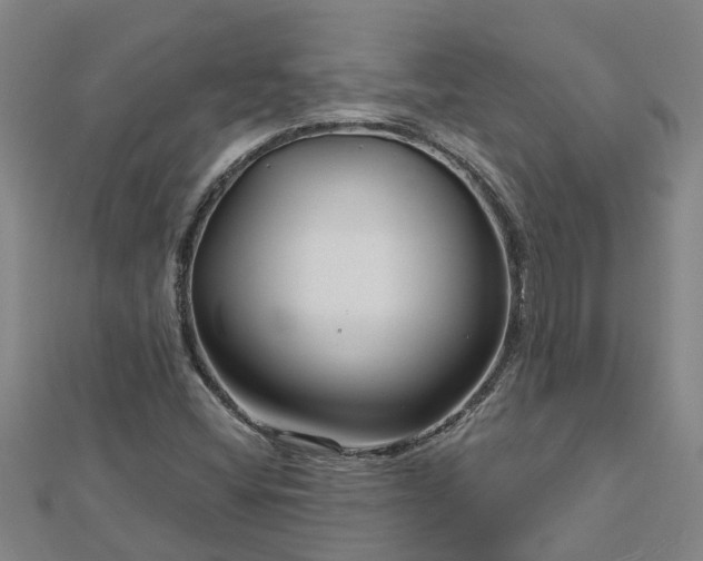 X0000113001404200909031243