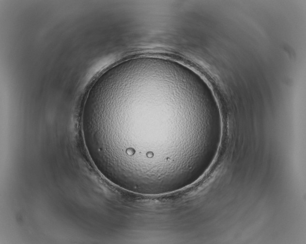 X0000113001405200909031243