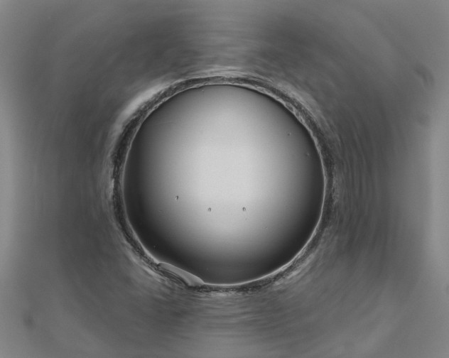 X0000113001406200909031243