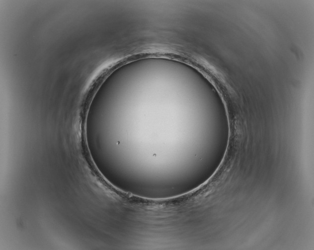 X0000113001408200909031244