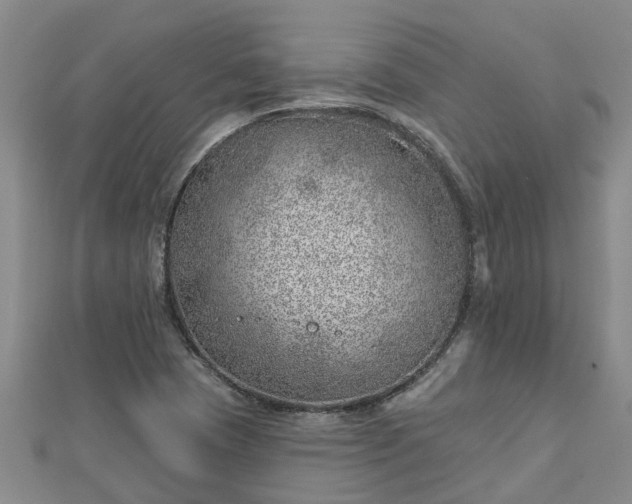 X0000113001409200909031244