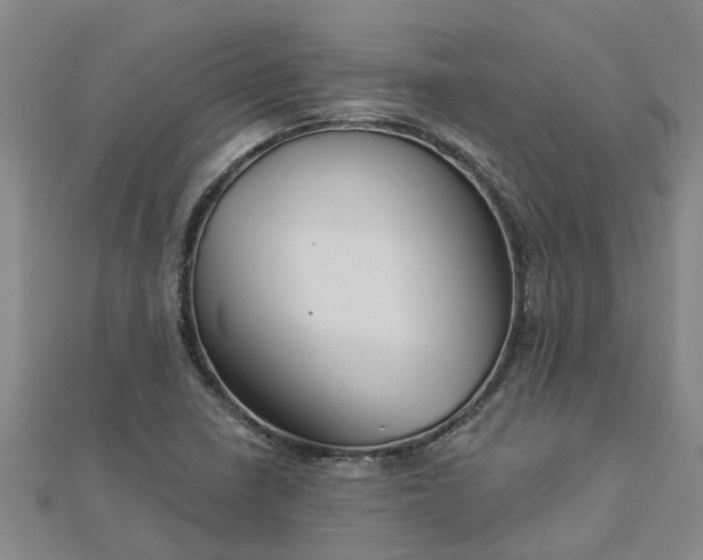 X0000113001410200909031244