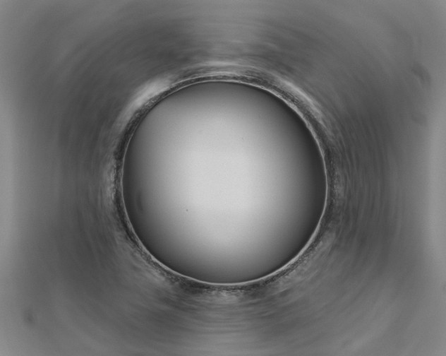 X0000113001411200909031244