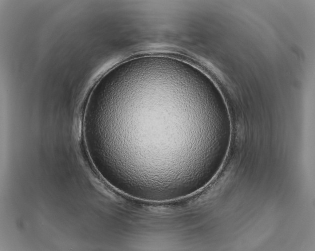 X0000113001413200909031244