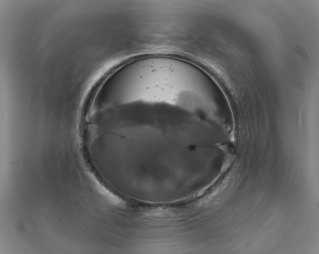 X0000113001414200909031244