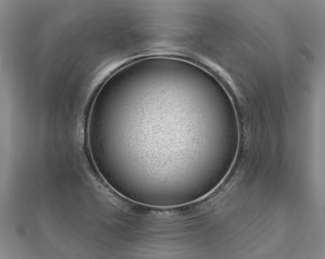 X0000113001415200909031244