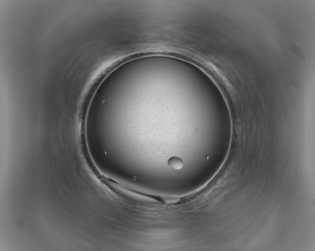 X0000113001416200909031244