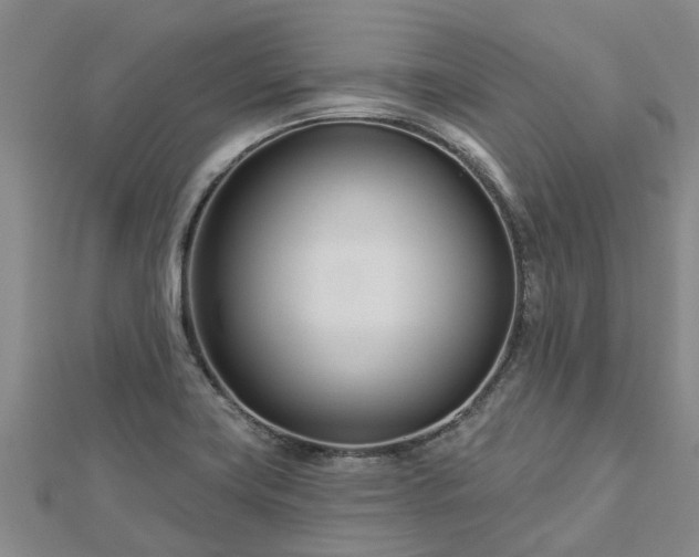 X0000113001419200909031244