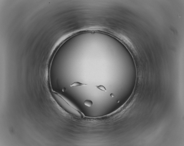 X0000113001420200909031244