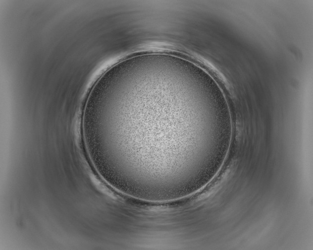 X0000113001421200909031244