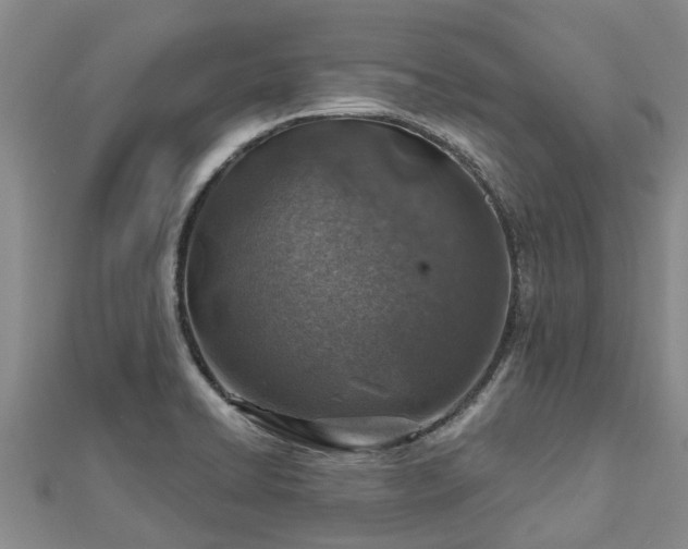 X0000113001422200909031244