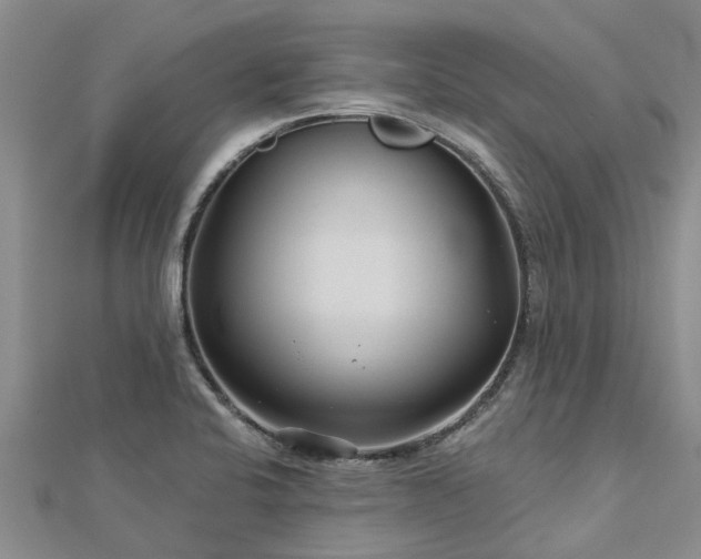 X0000113001424200909031244