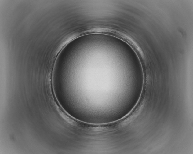 X0000113001425200909031244